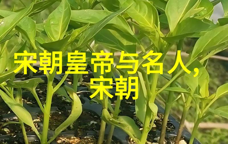 探索历史边界元朝的中国身份与其它文明的交汇