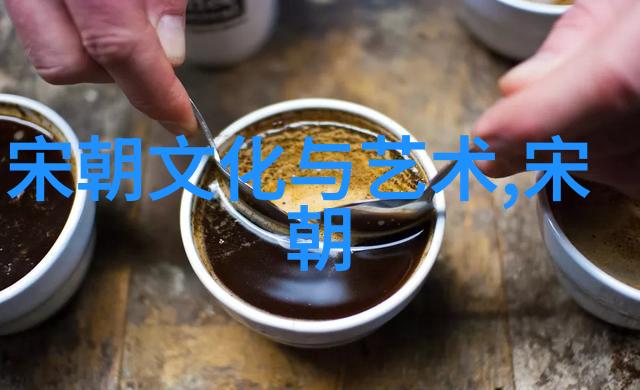 历史 大清朝的盛世与衰落从康乾盛世到末代皇帝的覆灭