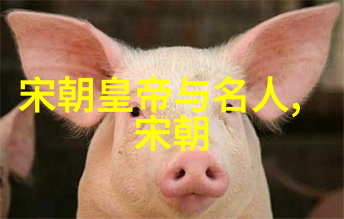 辽金历史辽金不入正史的原因探究