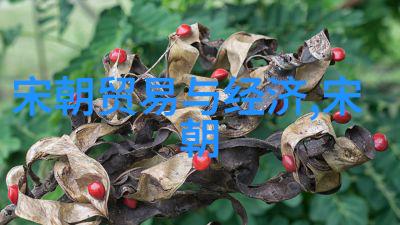 穿越千年揭秘中国历代王朝之谜