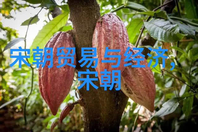 时光倒流明朝历史再现王先生的MP3更新下载