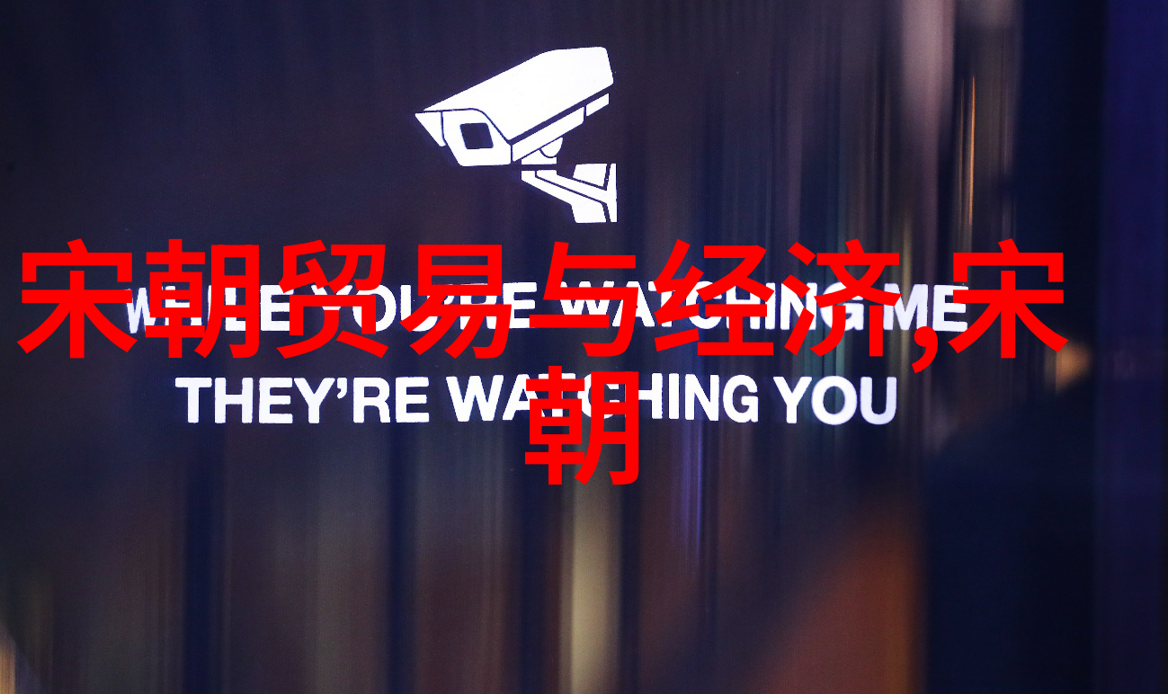 辽国末日元朝征服与历史变迁的故事