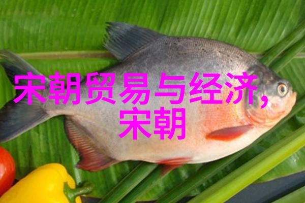 北宋灭亡简单概括我来告诉你它是怎么回事