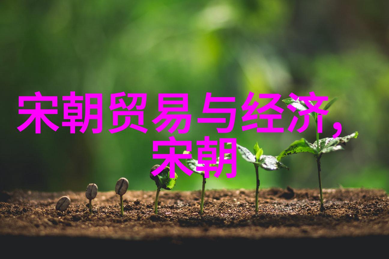 历史的断裂明朝覆灭的九重天地