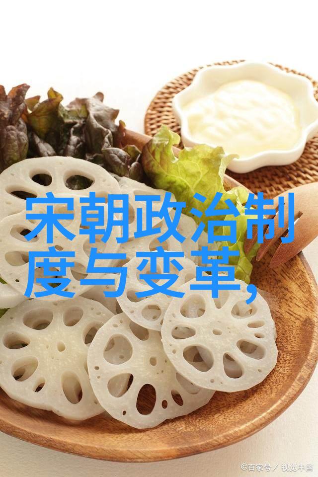 明朝历史之谜光辉与阴影的对决