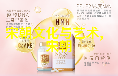 元朝辽的历史故事-金戈铁马下的辽国传奇