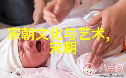 明代宫廷政治与女性权力宫女谋杀案件的历史考察与社会反响