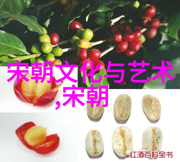 宋代时代特征总结 - 天下兴亡匹夫有责宋代政治文化与社会的纵横