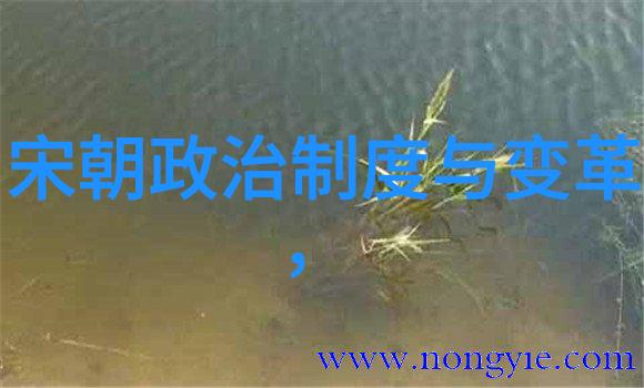 离婚的姐姐说想要重返单身巢穴追求自由与自我的新篇章