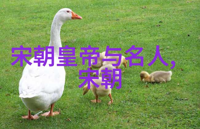 东西两晋南北朝历史中的元明宗仿佛一位智慧的长者静坐1300年至1329年的宝座之上聆听着岁月的低语