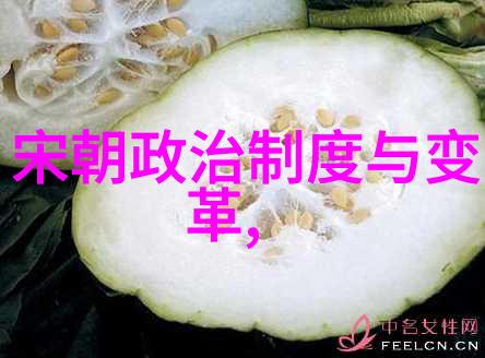 军事策略与民族情怀分析明末抗清十大的指挥风格