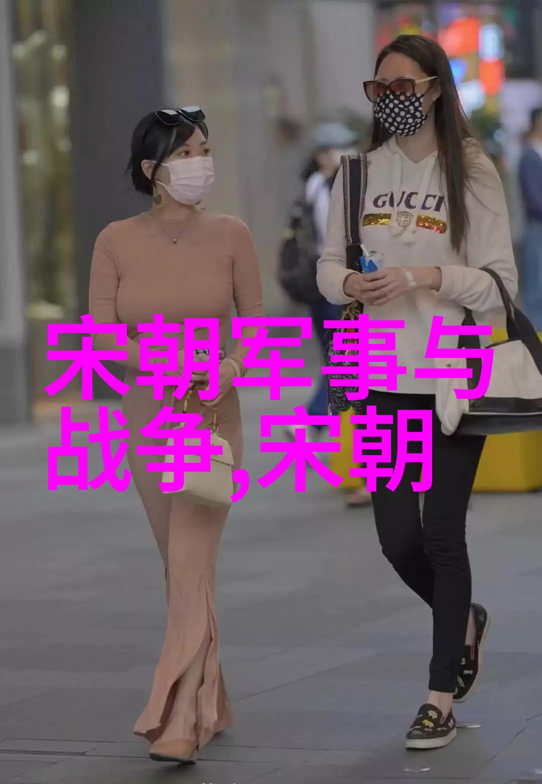 历史人物介绍-明代数学家与政治家的双重面孔刘伯温的历史探索