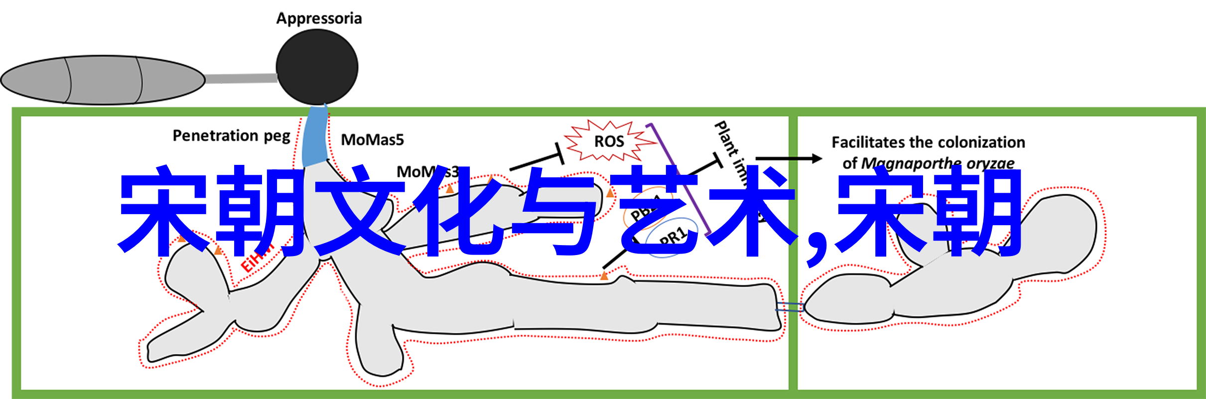 探索艺术的五彩缤纷绘画音乐文学舞蹈和戏剧的魅力