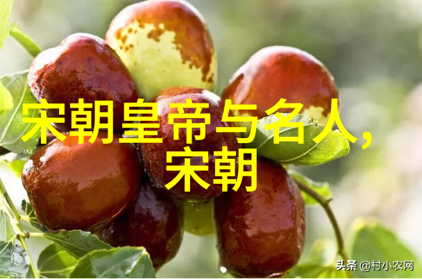 中国古代的辉煌元朝的风华
