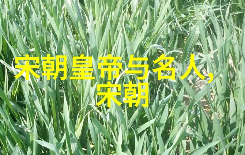 元朝覆灭黑死病农民起义与外患的交织