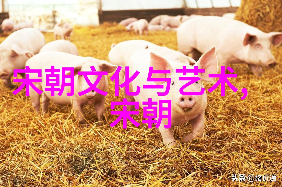 明朝英宗朱祁镇从无耻君主到历史的悲剧