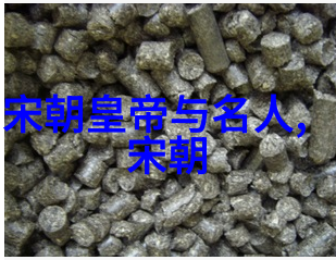 如何将明朝历史视频转换为可播放的格式