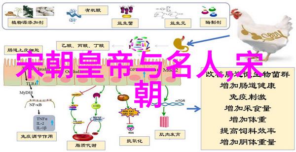 元朝治国之道管理与创新