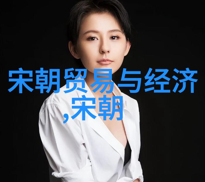 宋朝的风流人物王安石变法的故事