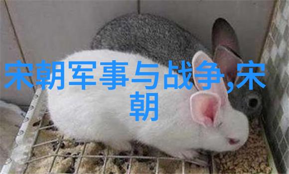 晚年困顿与前世因果探究刘伯温遭遇的历史社会背景及其个人命运的学术分析