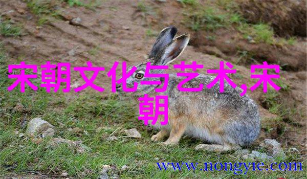唐派刘岩电影中的豫剧老子儿子弦子全场