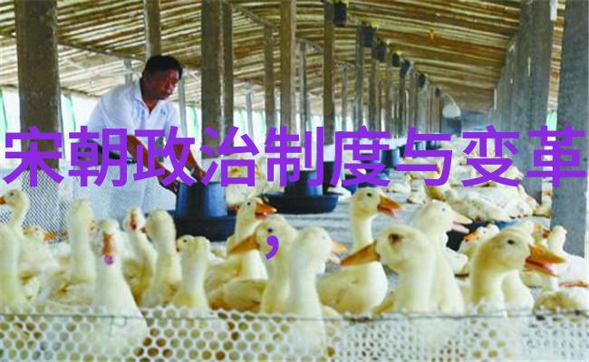 北宋名将我看北宋那些年王维的智慧与战场