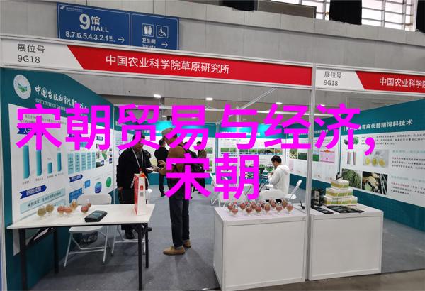我的法国空乘日记在蓝色天空下翱翔的梦想