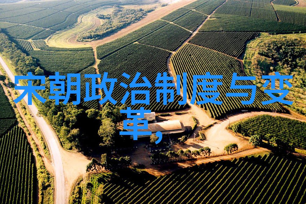 南阳王朱灿的武术防护体系
