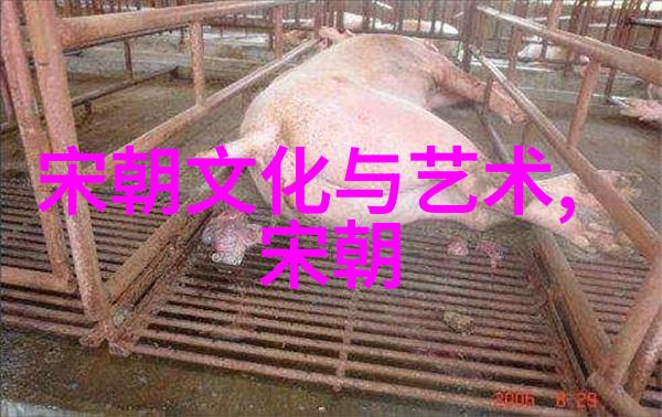 博果尔的娘超越孝庄尊贵的隐秘故事