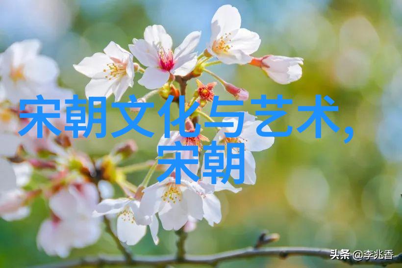 通过明朝那些事儿简介我们可以了解到哪些社会现象