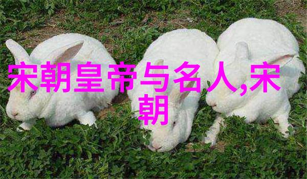 元代隐晦的足迹历史记载中的忽视与遗忘