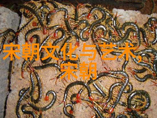 我来帮你看看明朝历代时间表一笔一划记下历史的长河