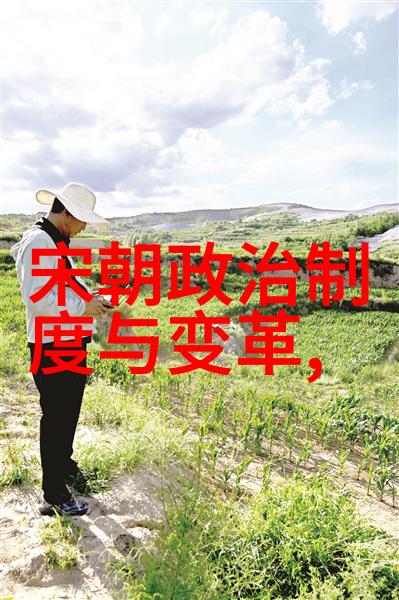 明朝传奇我的时空穿梭之旅