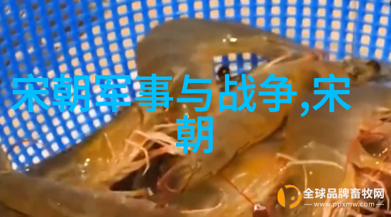 梦碎人海孤影独行重构朱允文妻子的故事线索