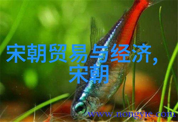 抗美援朝英雄陈炯明坚守阵地的铁血将军