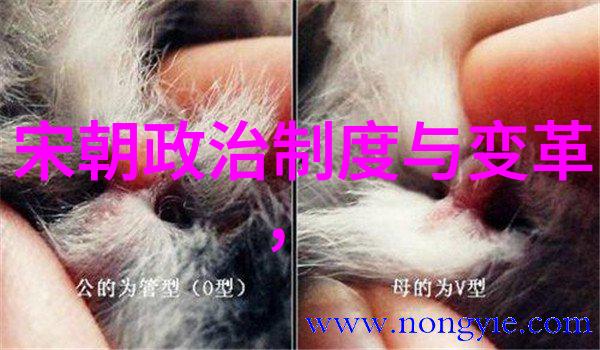 斗罗大陆人物黄化完整版资源我来教你怎么找