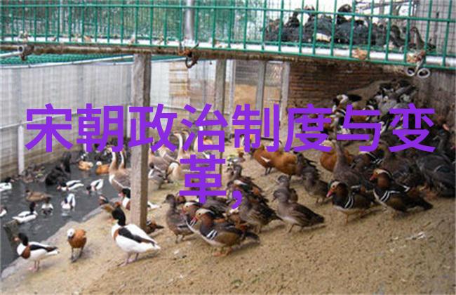 中国艺术文化的有关的介绍-绘卷千秋深入解读中国传统艺术与文化的精髓