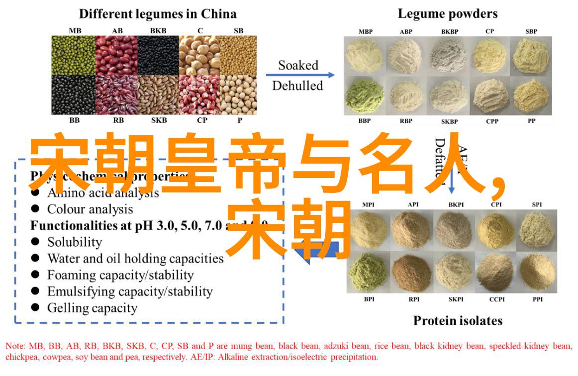 元将忽必烈在攻占南宋后采取了哪些措施