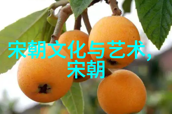 传统中国文化之辉煌从书法到茶艺探索中华五千年的精髓