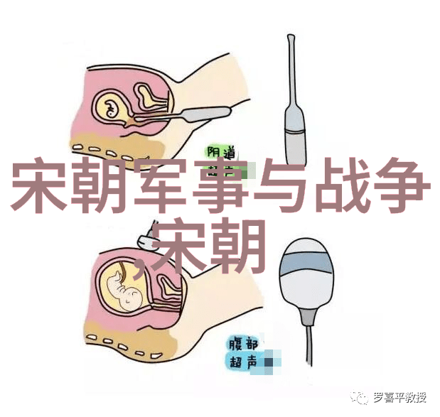 兵力配置在国防规划中扮演什么角色