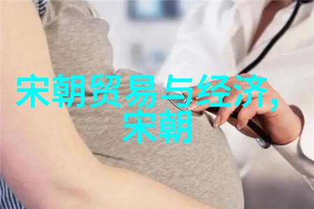明朝的史实仿佛有暂住证在为人守护