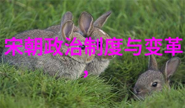 清朝历史的脉络从康熙到乾隆的治世平安