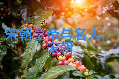 兵器知识全解从古代武器到现代火器的演变与应用