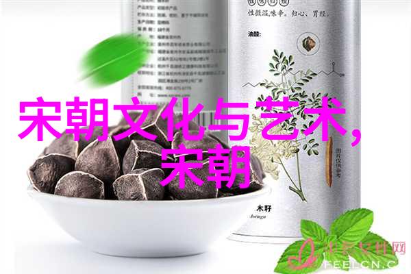 辽阔的疆域元朝征服之旅