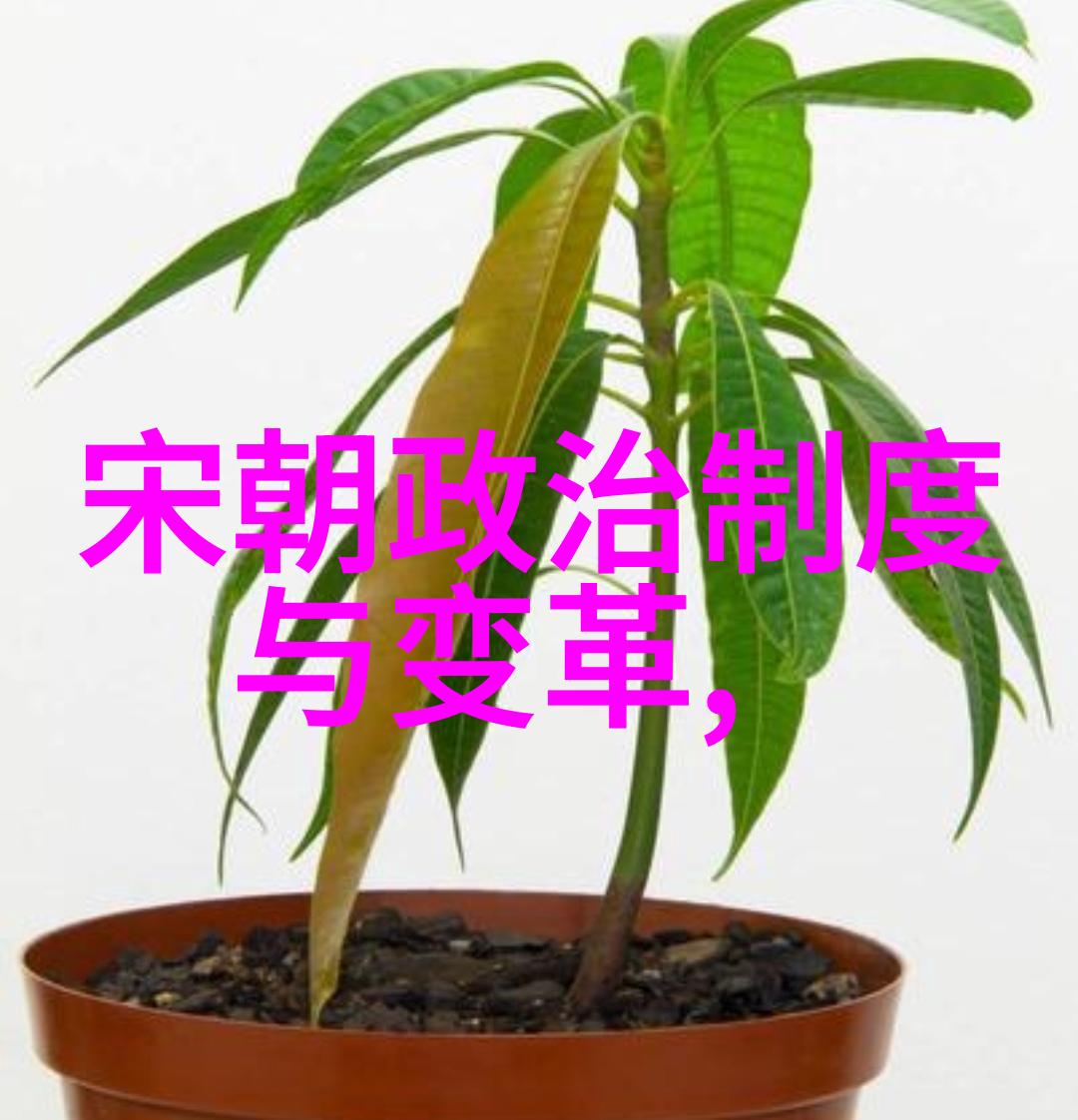 主题我觉得元朝算是中国的朝代啊怎么样