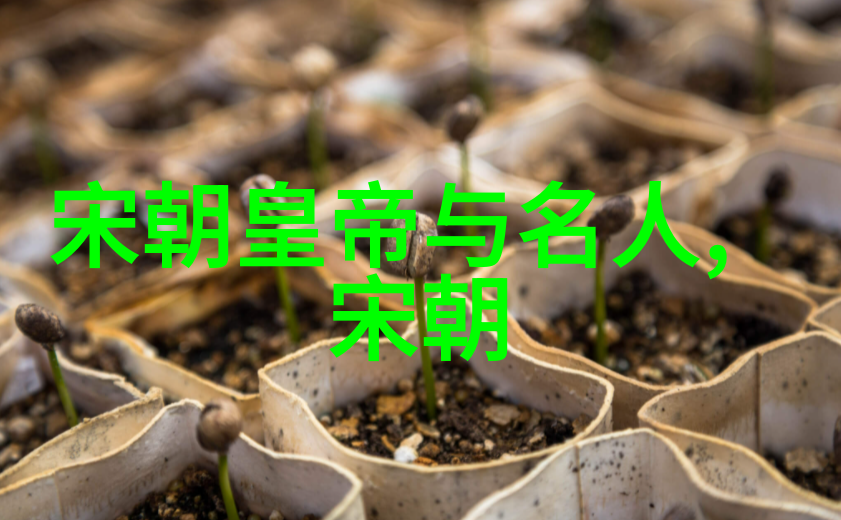 探索明朝迷雾揭秘历史上的诡计与阴谋