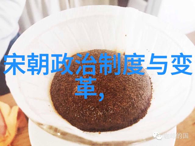 宋朝灭亡之谜探权力斗争与外患交织的历史考察