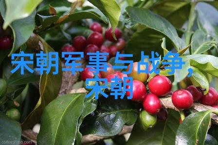 我来帮你明朝历史题目及答案大全一网打尽考古题的秘密