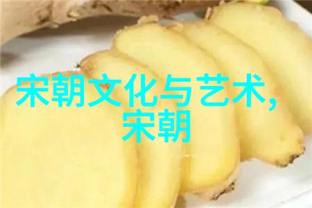 元朝的制度革新废除旧制与推行新法