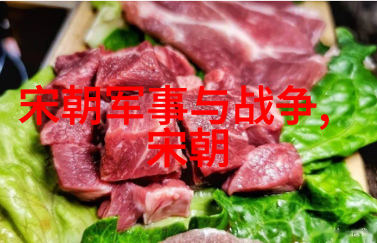 军事征服与边疆管理明朝军事政策及其成效评估
